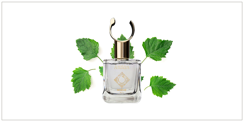 NOÈME Paris | | Niche Story NOÈME Paris by | Niche Story