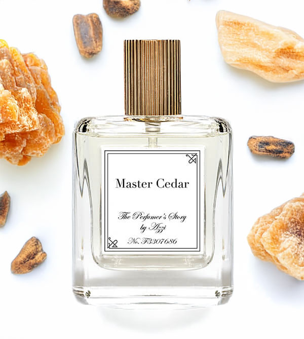 Master Cedar by The Perfumer’s Story | Niche Story