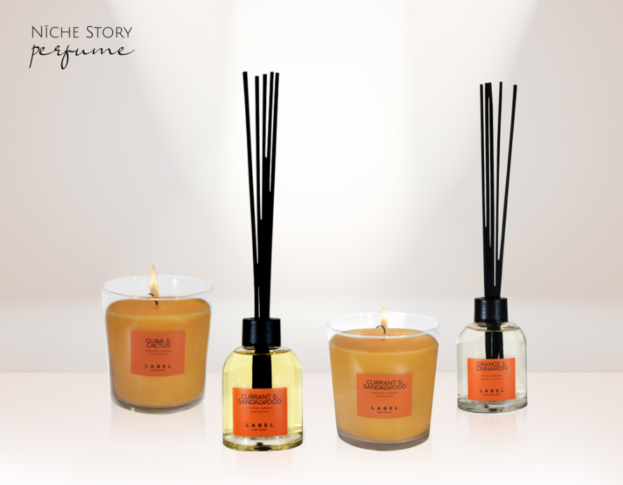 A Basic Guide to Reed Diffusers | | Niche Story Reed Diffusers