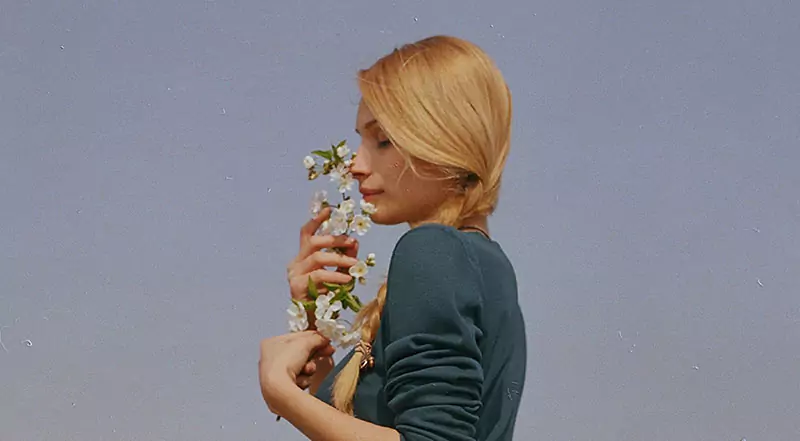 About Us by | Niche Story