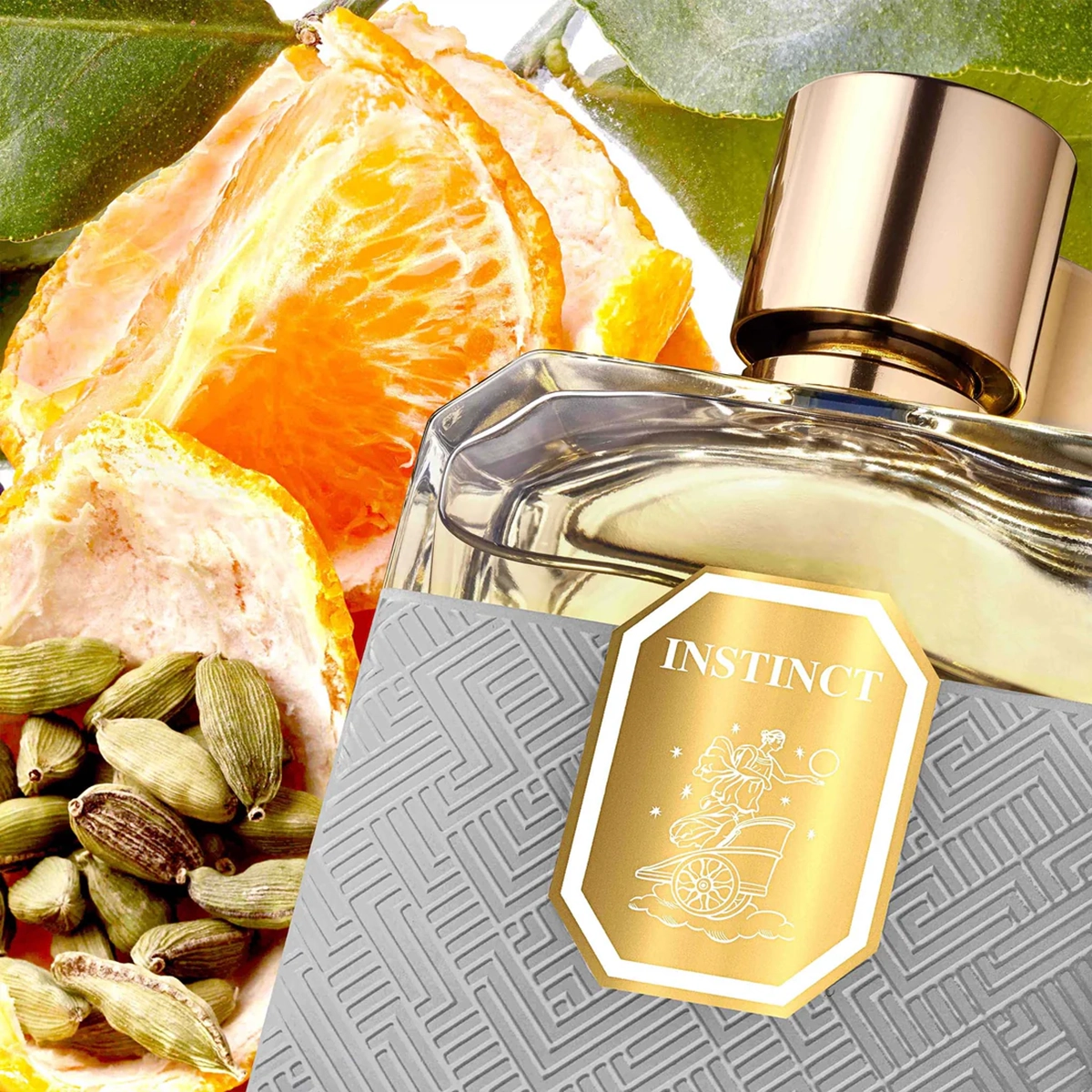 Instinct by Ggema | Niche Story