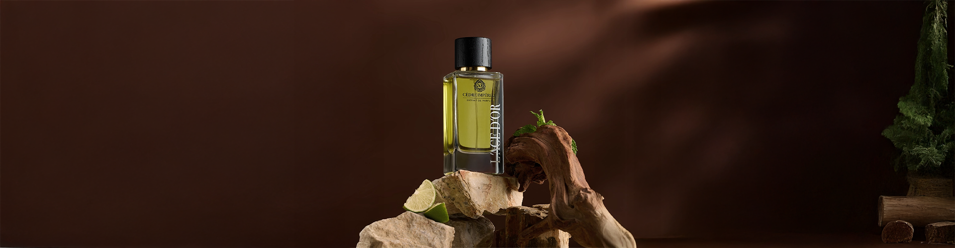Cèdre Impérial perfume banner by L’Âge d’Or with cedar wood and lime at Niche Story